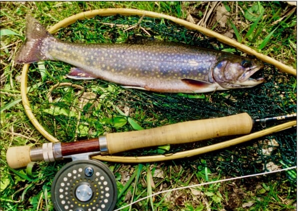 Michigan’s Upper Peninsula has some brook trout gems in June – Outdoor News