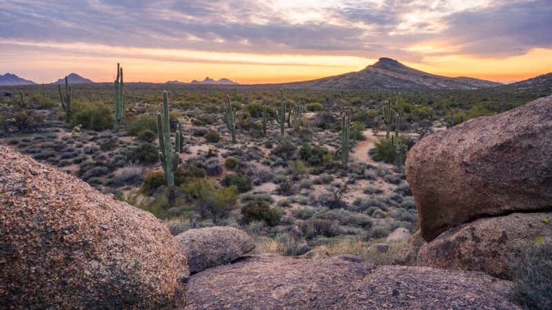 Missing Hiker Died on Arizona Trail, and Many Are Asking Why