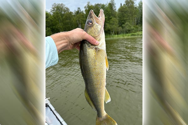 MN Daily Update: An opener outlook for Lake of the Woods – Outdoor News