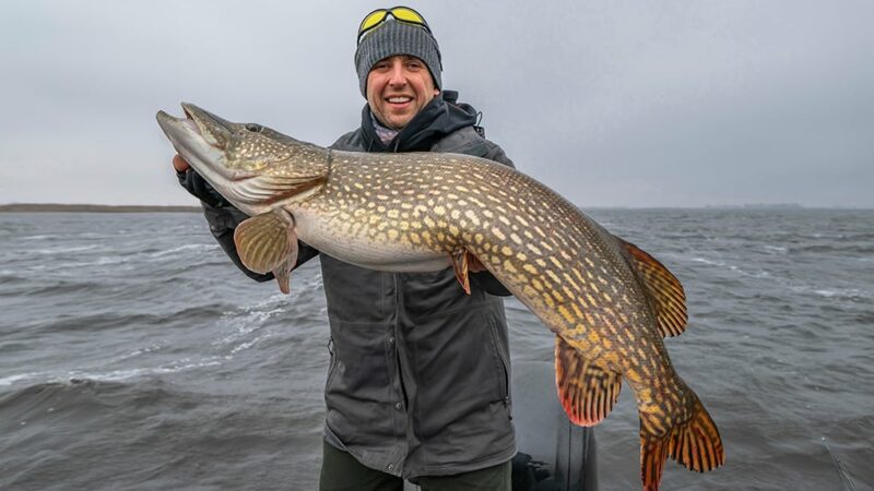 MN Daily Update: More chances to catch a record fish – Outdoor News