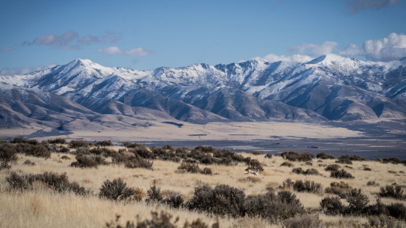 onX Just Uncovered That the Public Land Sales Proposal Is Actually Much Bigger Than We Thought