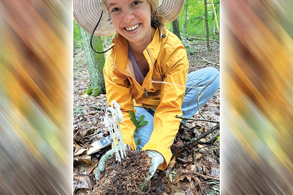 Penn State study shows strange, pale ghost pipe plant is in demand – Outdoor News