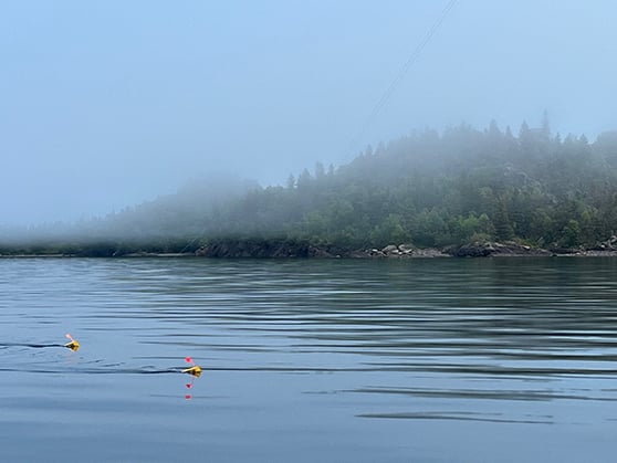 Planer boards are a worthy addition to your angling arsenal once you master the learning curve – Outdoor News