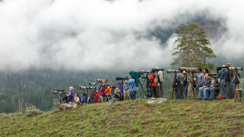 Private Land Is Being Developed in the West. National Park Tourists Would Pay to Help Stop It