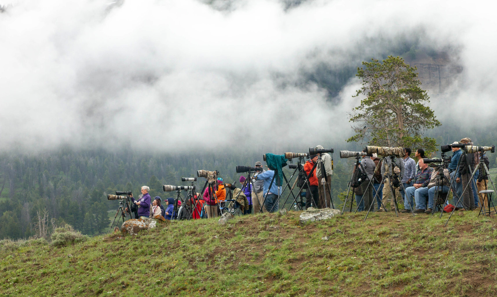 wildlife photographers