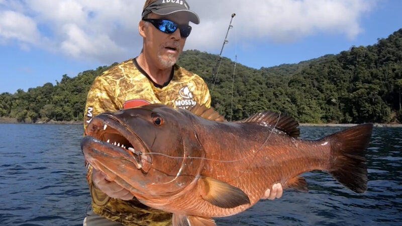 Quick Strike Podcast: How to Beat Monster Fish with Mind Control