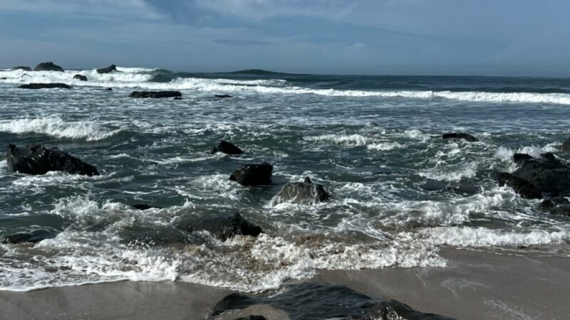 RVing Near San Francisco: Half Moon Bay RV Park and Campground