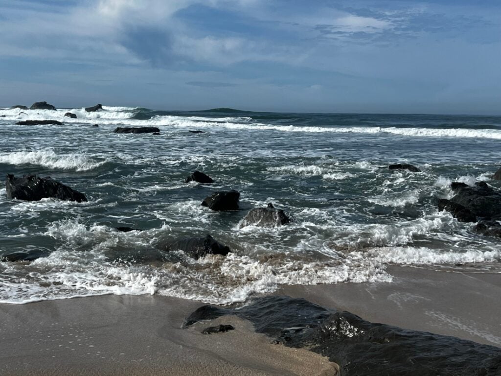 Shoreline near Half Moon Bay RV Park.