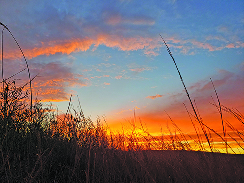 Ryan Rothstein: In Oklahoma, more of the same wrong thinking about nonresident hunters – Outdoor News