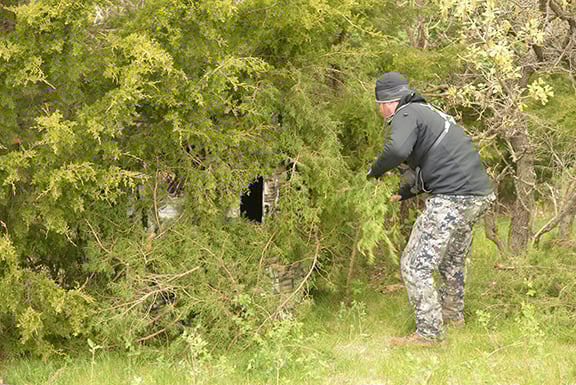 Smarter turkeys might require better-built blinds – Outdoor News