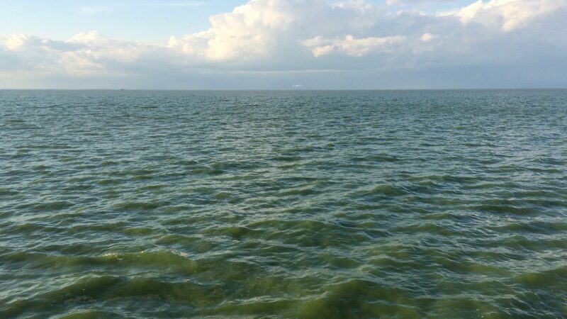 Steve Pollick: H2Ohio in danger of being flushed down drain – Outdoor News