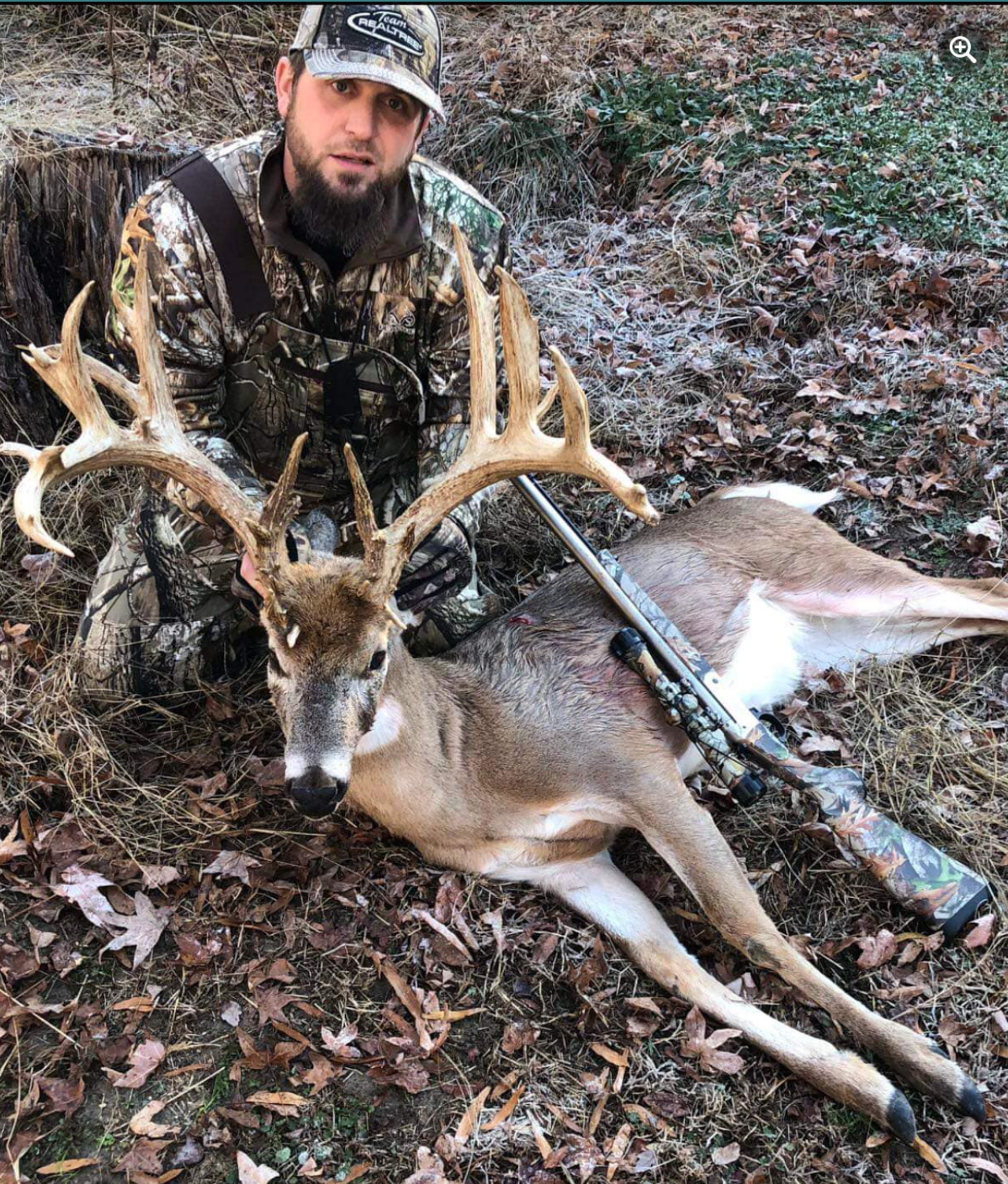the hollywood buck