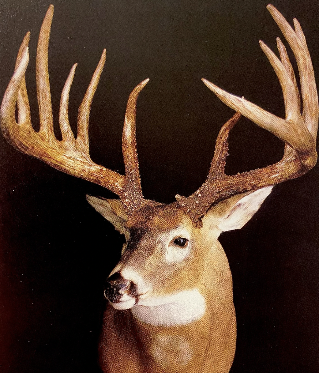 johnny king buck