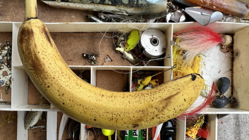 The 6 Biggest Fishing Superstitions That Could Ruin Your Day on the Water
