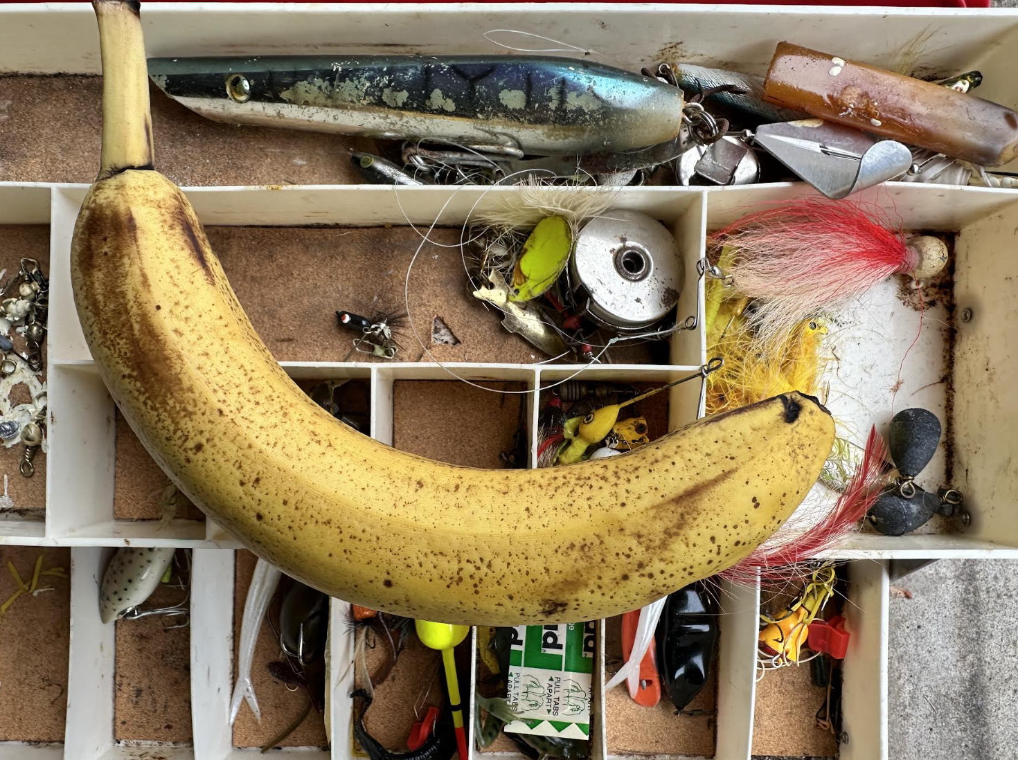 bringing a banana on a boat is bad luck.