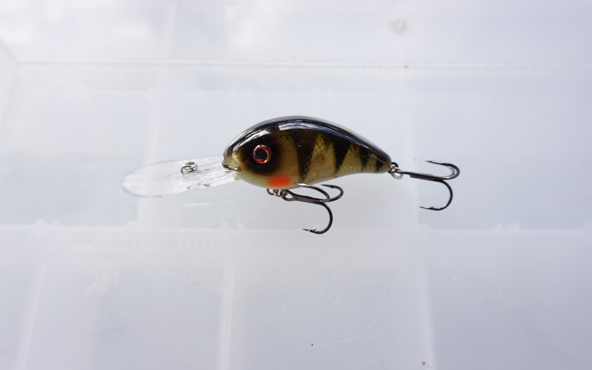  Strike King 3XD crankbait