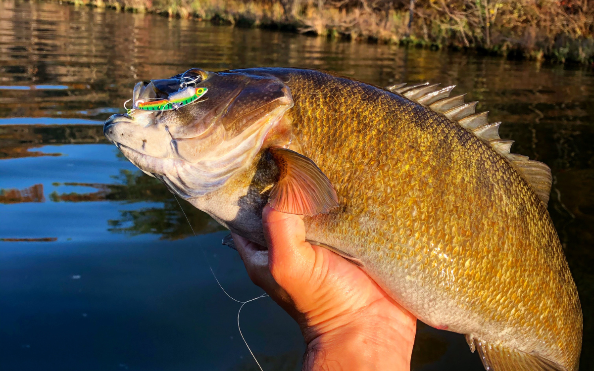 best smallmouth lures blade baits