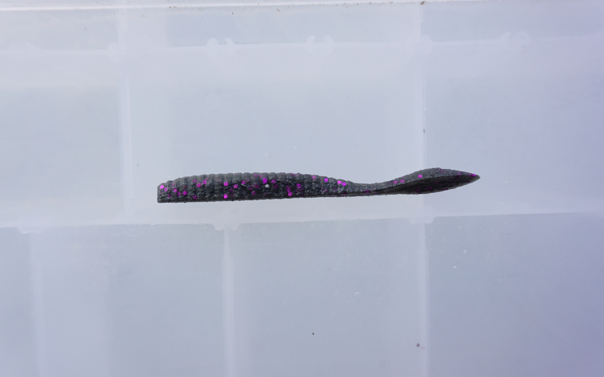  MaxScent Flat Worm