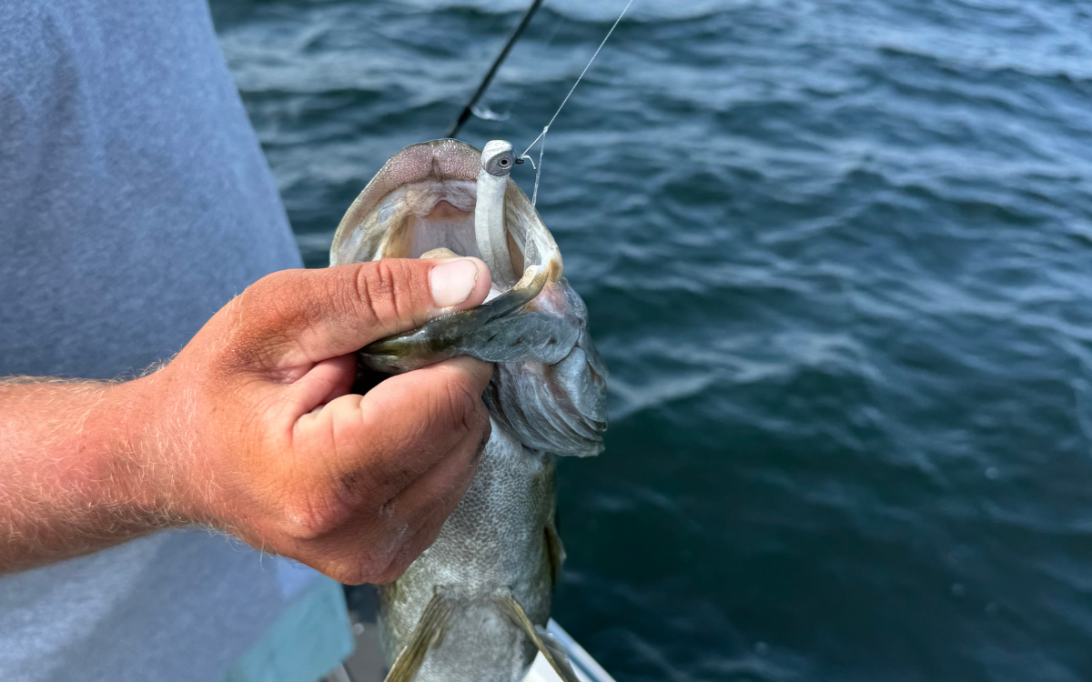 best smallmouth lures baby z-too