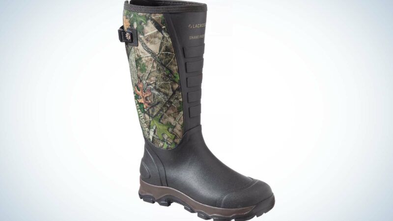 The Best Snake Boots of 2024, Tested and Reviewed