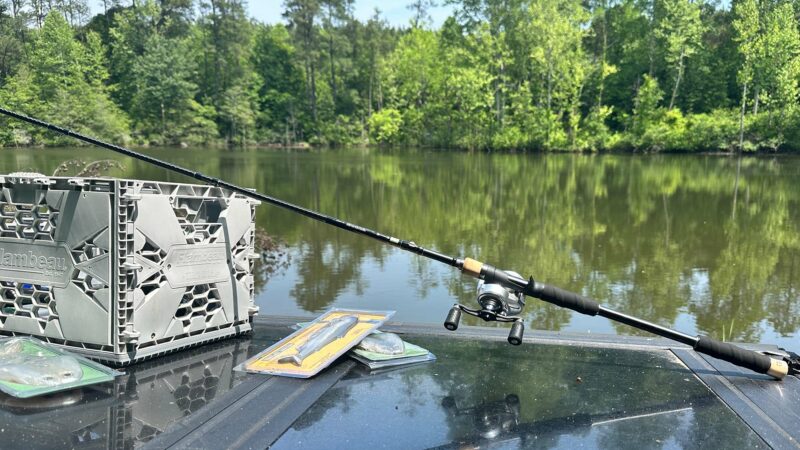 The Best Swimbait Rods of 2025, Tested and Reviewed