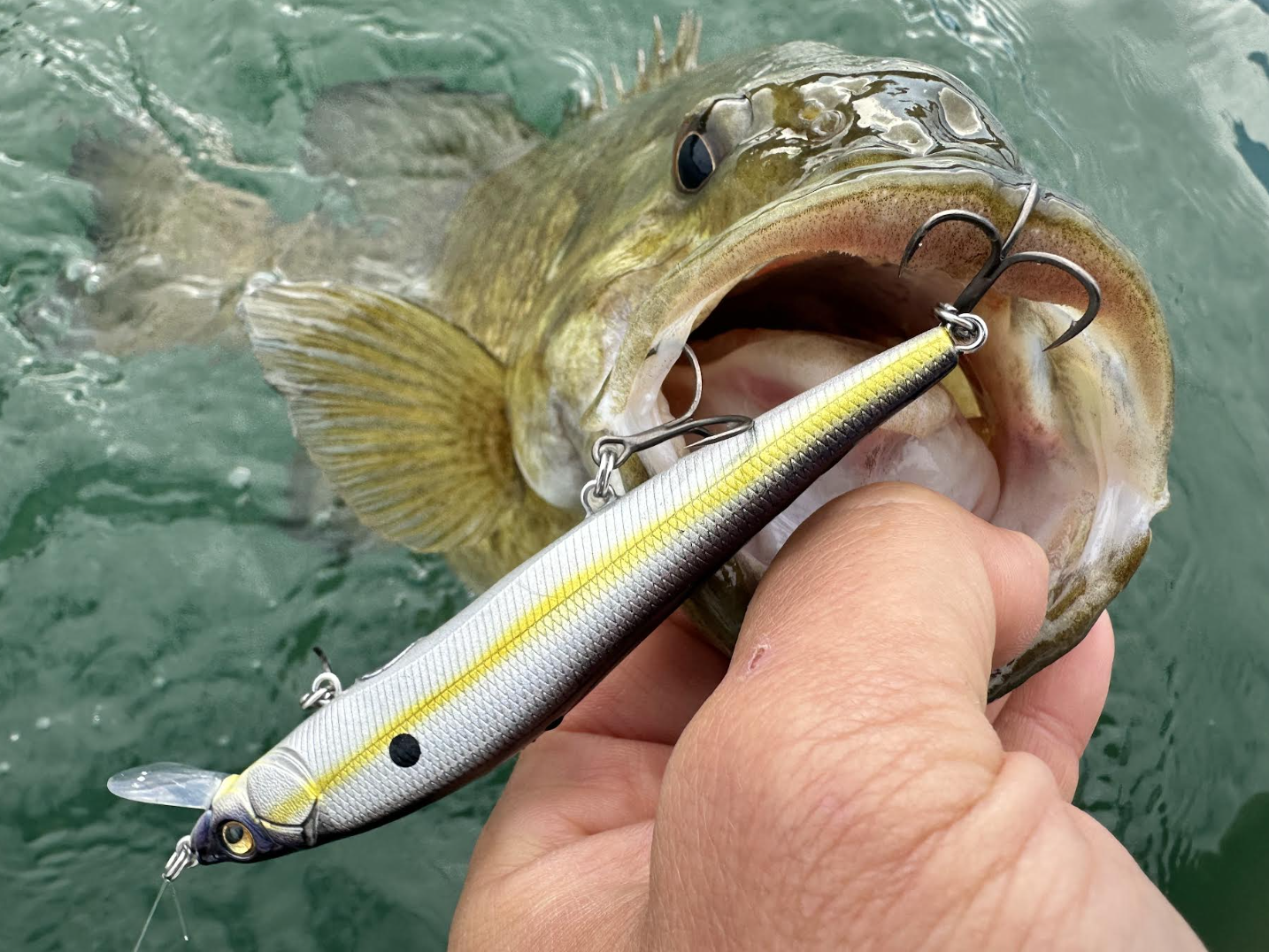 smallmouth