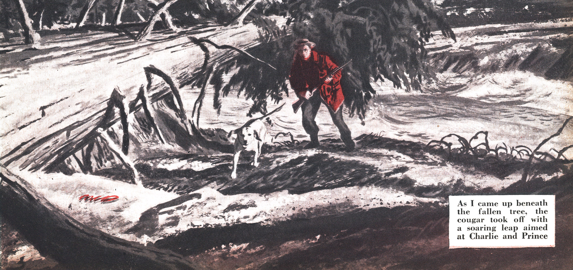 A hunter in a red coat walks behind his dog
