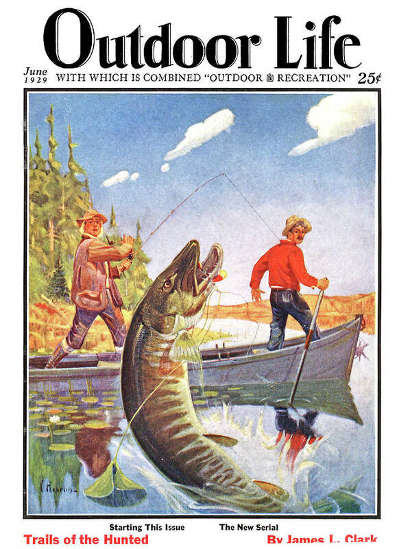 An old outdoor life cover showing a muskie taking a bait