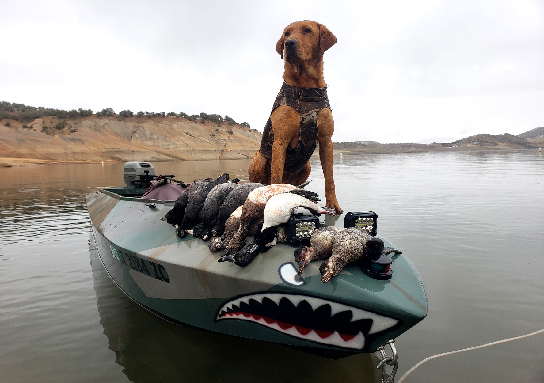 A Labrador retriever sitting on a duck boat.