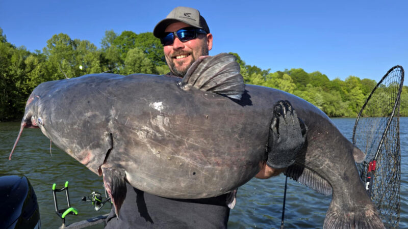 This Same Blue Catfish Just Broke the West Virginia State Record — for the Third Time