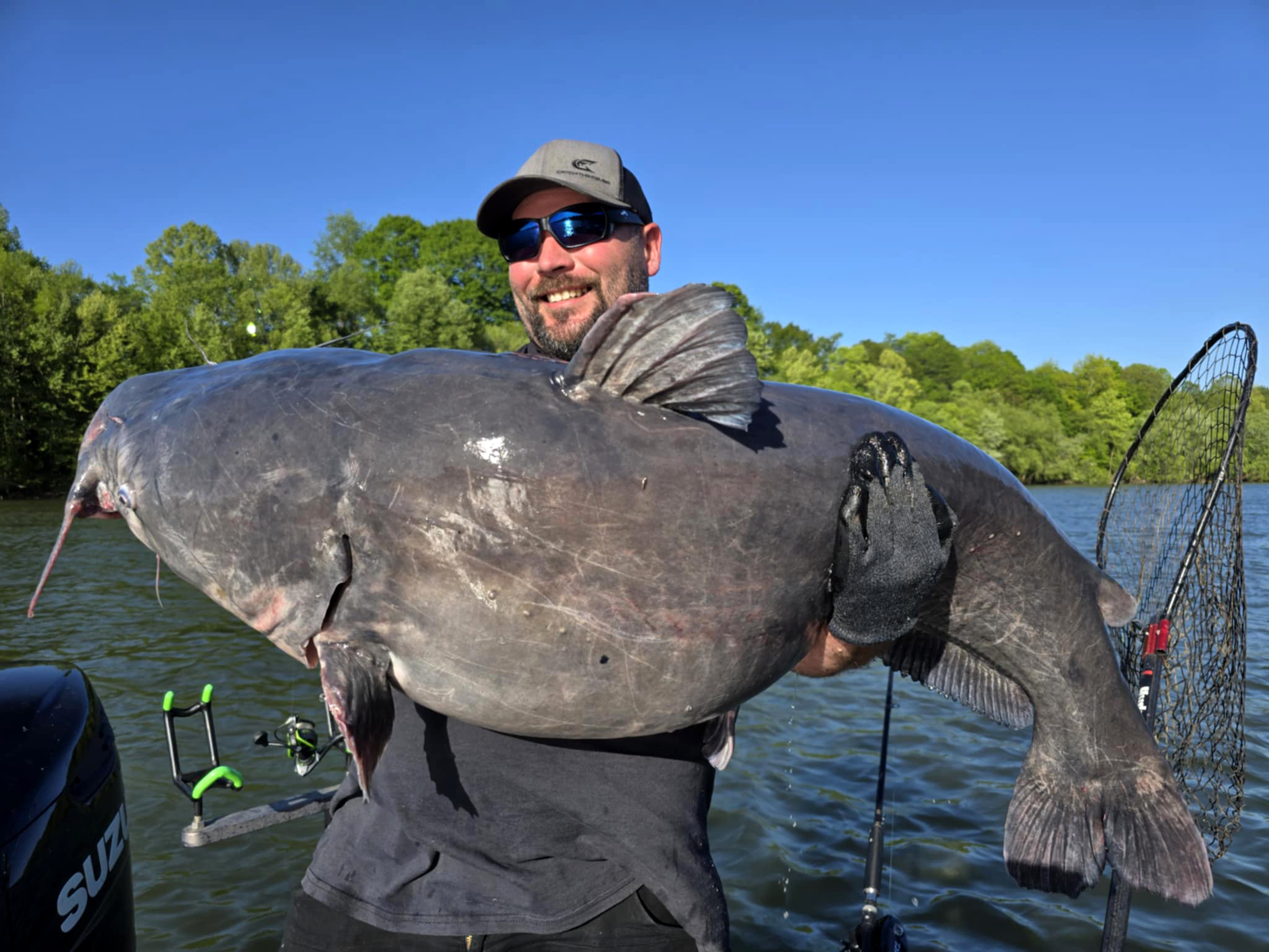 A big blue catfish caught in west virginia