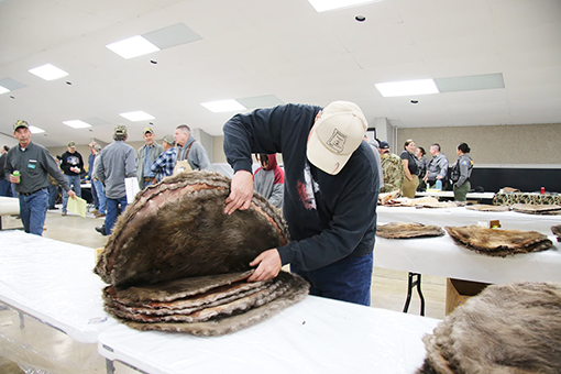 Trapping convention season about to start in New York, surrounding states – Outdoor News