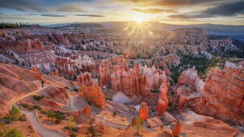 Two People and a Cat Fell in Bryce Canyon, Only the Cat Survived