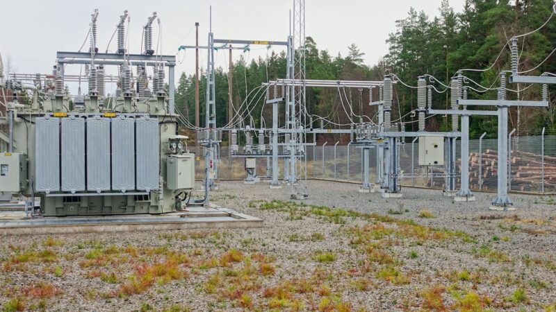 Unexpected Animal Causes Power Outage in North Carolina