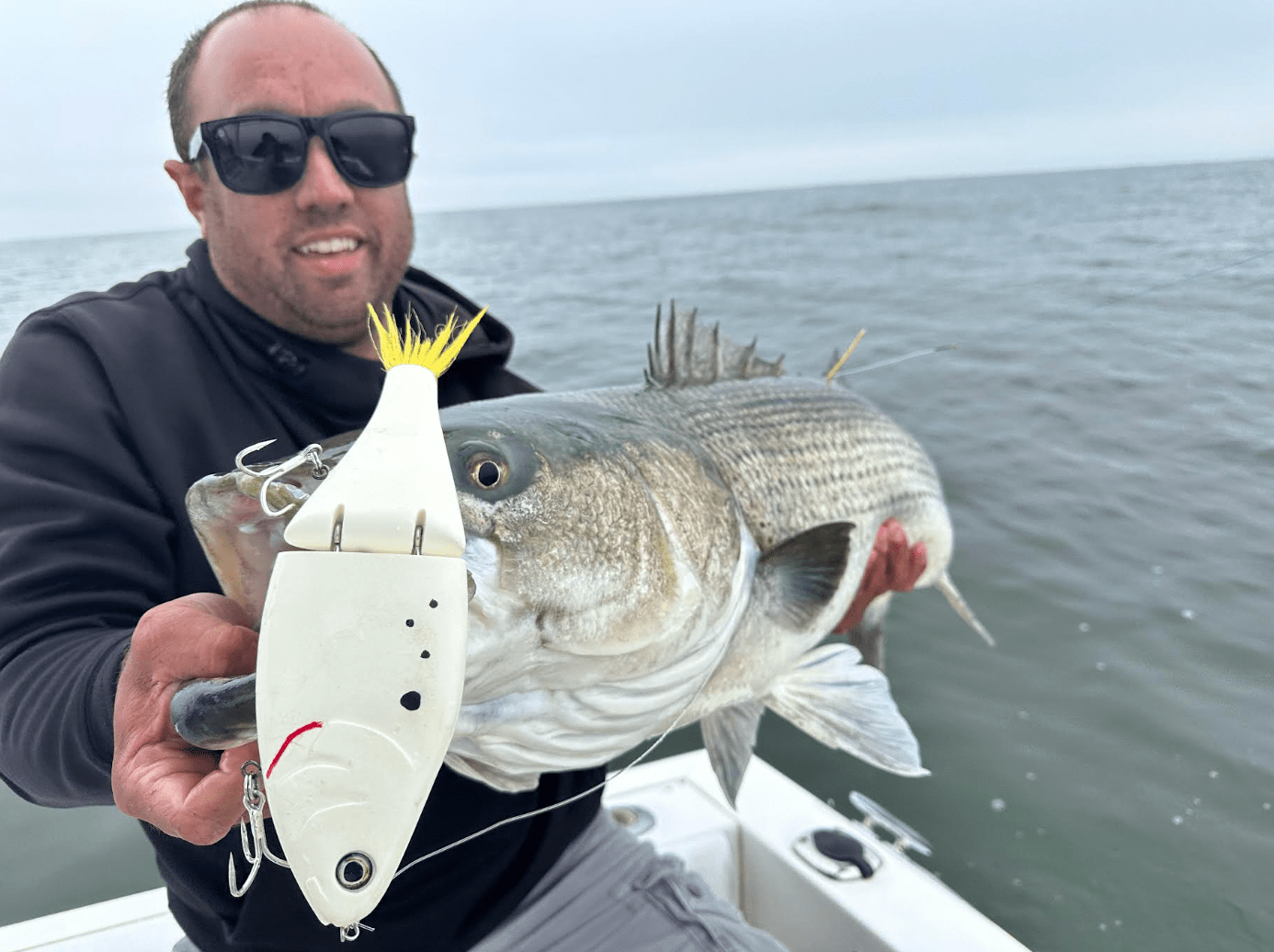 glide baits for striped bass