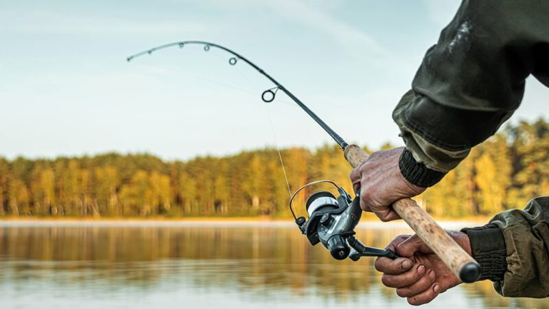 Voter registration pitched at Michigan’s outdoor license dealers – Outdoor News