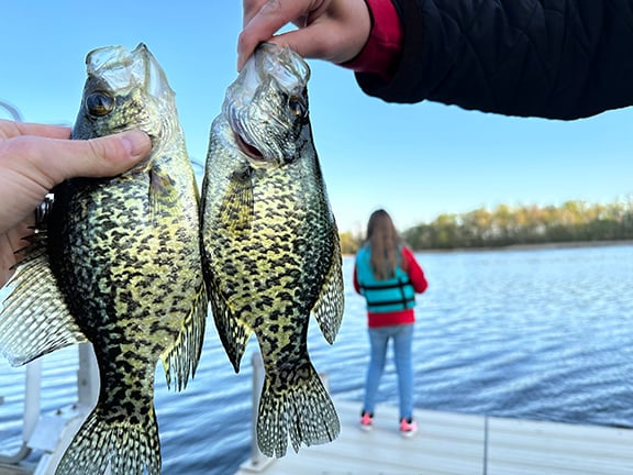 WI Daily Update: A great spring for crappie anglers – Outdoor News
