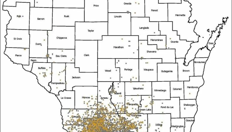 Wisconsin DNR releases summary of 2024 CWD sampling efforts – Outdoor News