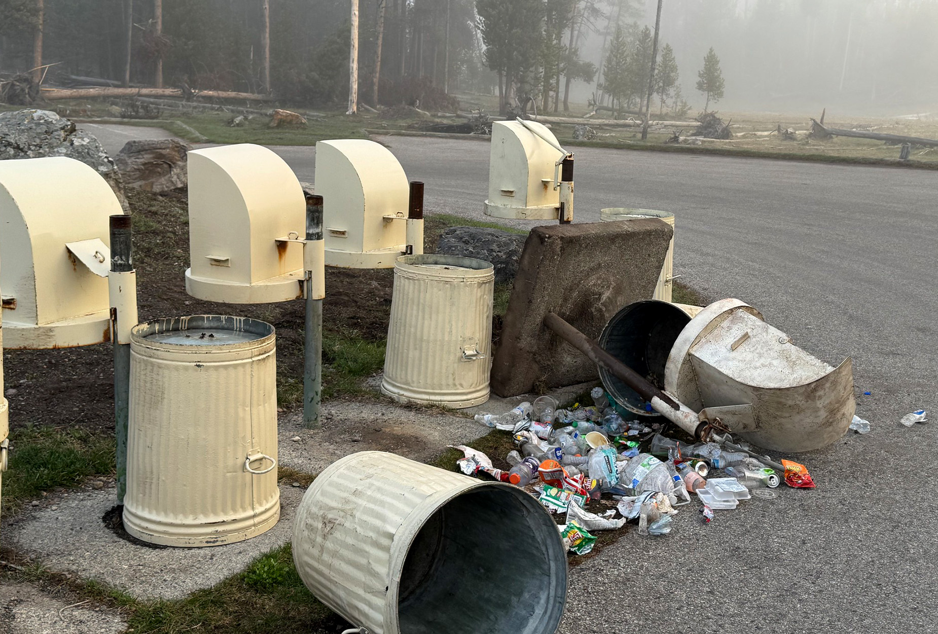 Trash cans uprooted by a grizzly bear.