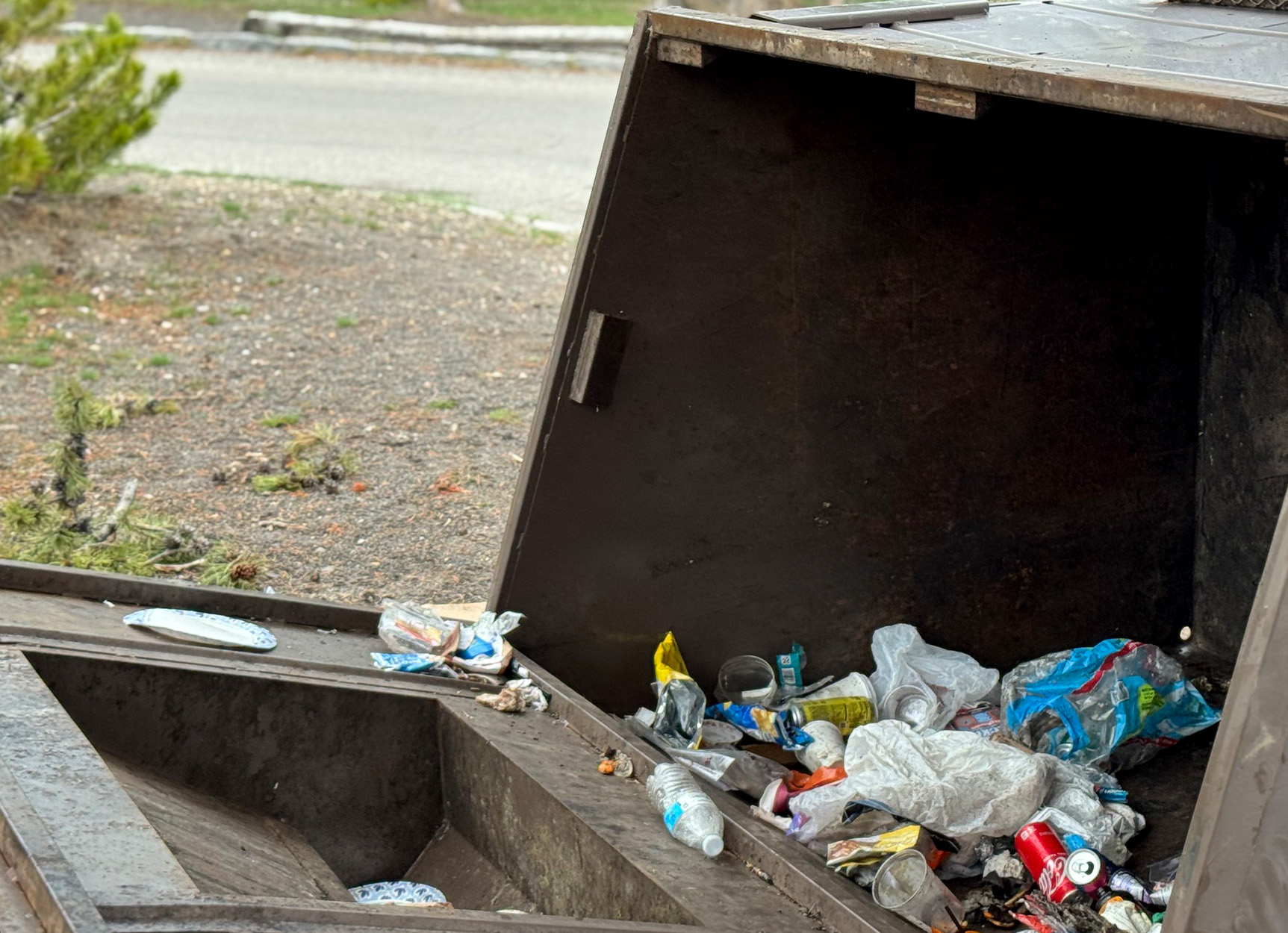 A dumpster flipped over by a grizzly bear.