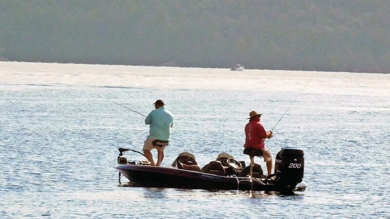 $100 million in funding set for New York fish hatcheries – Outdoor News