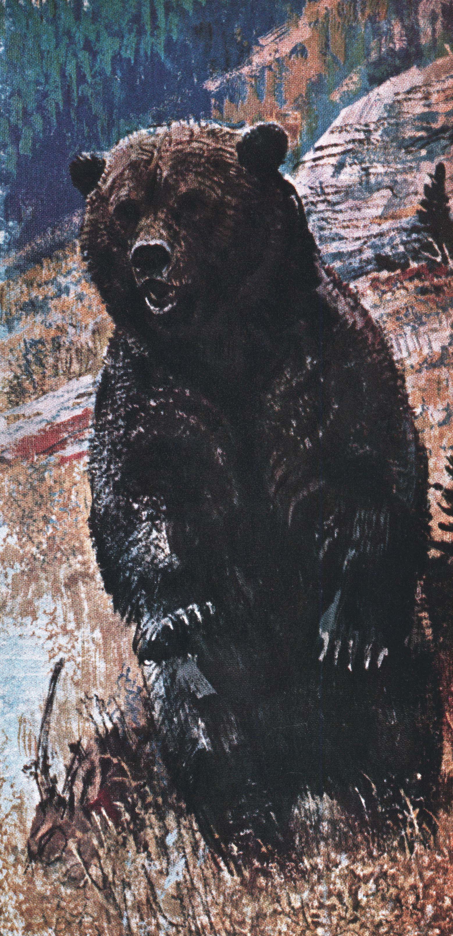 A vertical grizzly illustration