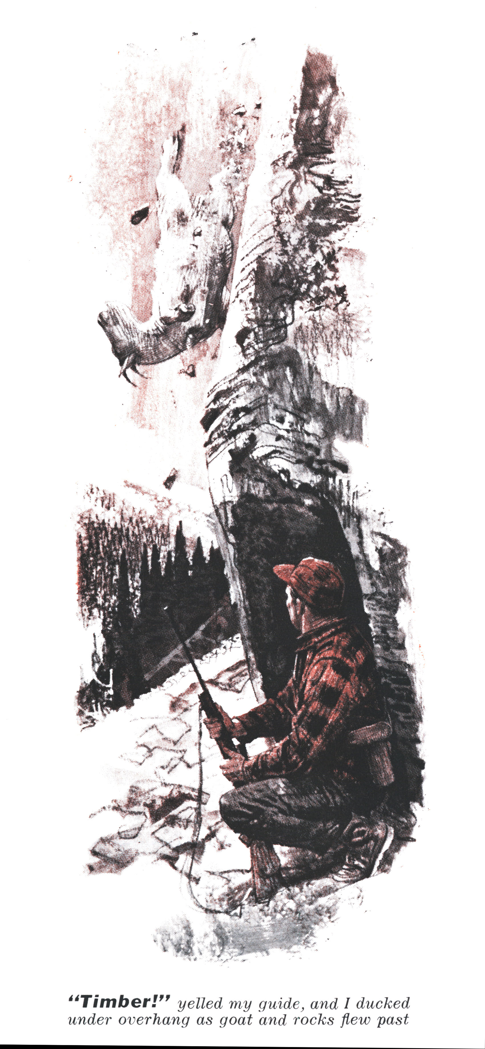 An illustration of a billy goat falling.