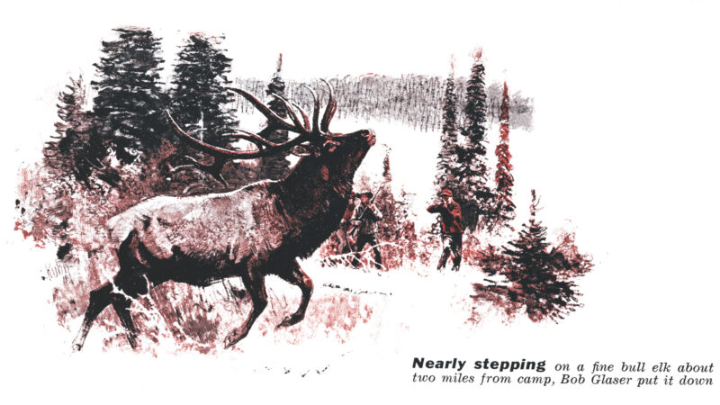 After 25 Years of Big Game Hunting, All I Wanted Was to Tag an Elk