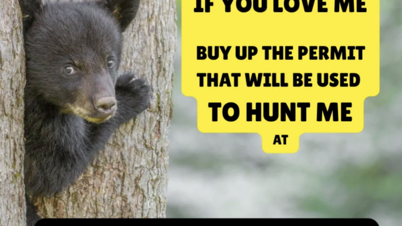 Anti-Hunters Will Attempt to Sabotage Florida’s Bear Hunt With This Dirty Tactic 
