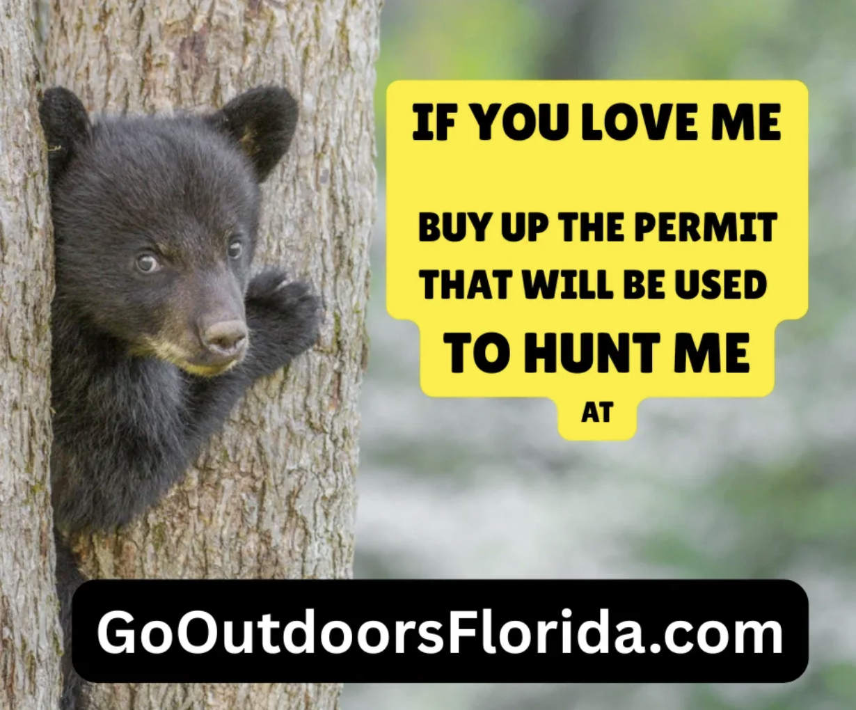 A misleading image that includes a small bear cub and an admonishment o buy permits if you love me.