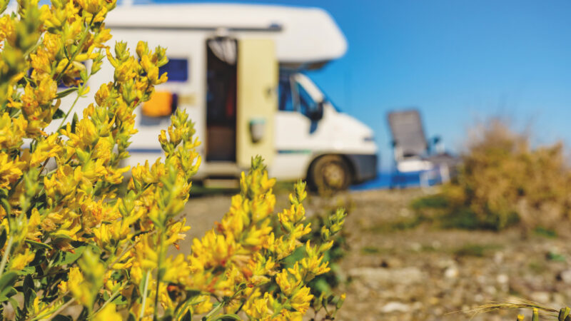Ask an RV Expert: Seasonal Maintenance, Tire Talk, and Where to Learn to Drive an RV!