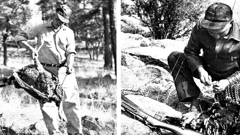 Before We Learned to Call Turkeys in Close, We Hunted with Rifles