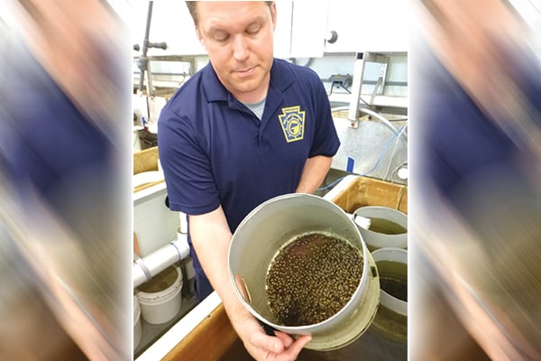 Ben Moyer: Pennsylvania Fish & Boat Commission’s mussel lab spurs recovery in Dunkard Creek – Outdoor News