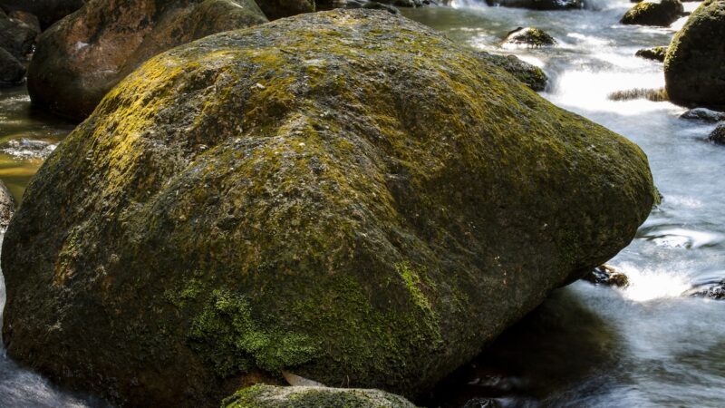 Boulder Pins Alaska Hiker Face-Down in Creek for Three Hours